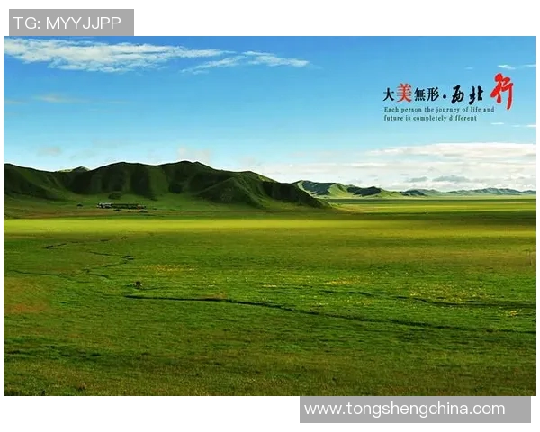 草原足球明星全景展示图册带你领略绿茵场上的传奇风采