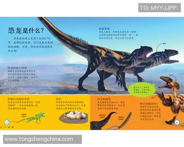 足球明星与宠物老虎的奇妙生活揭秘与背后的故事分享